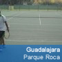 Guadalajara - Roca - Sup. Rápida